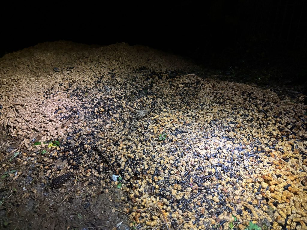 2025-12-04 at 08.19.59 (1)